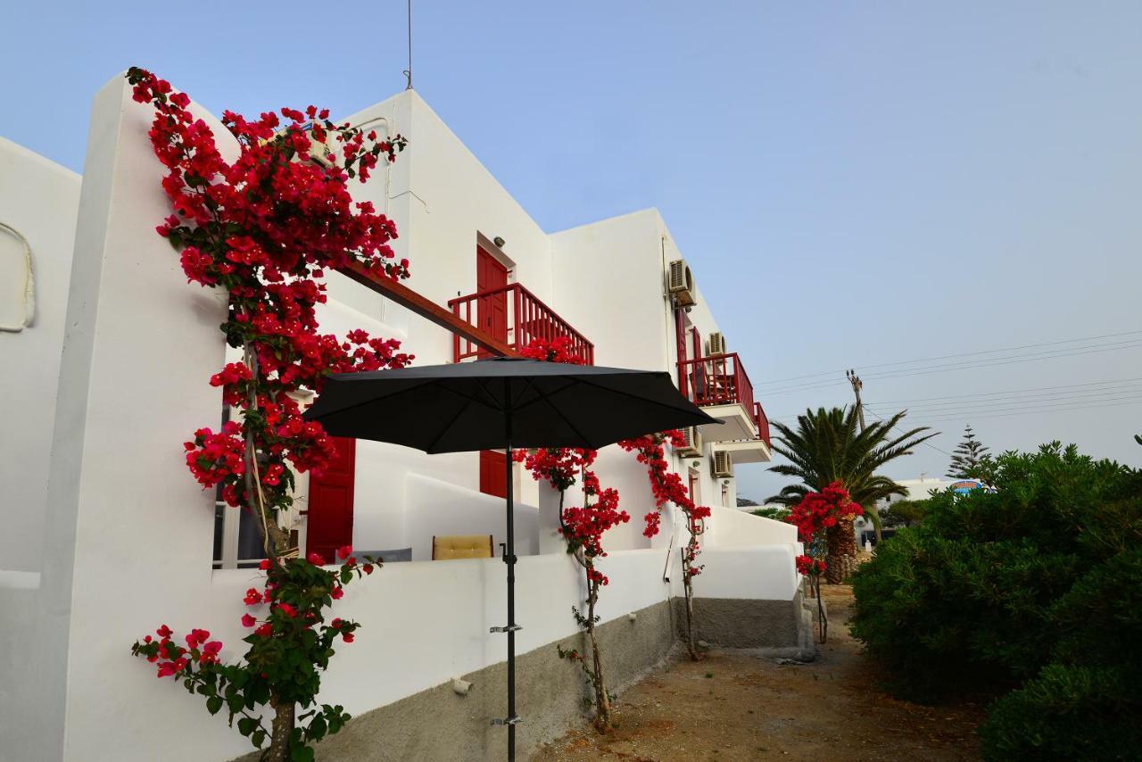Seagull Rooms Galissas Extérieur photo